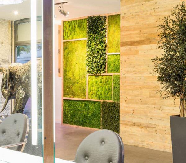 Pasta Per Fiori Rotonda - 2 Pezzi, 16x3.5 Cm, Per Composizioni Floreali Fai Da Te - Foto 9