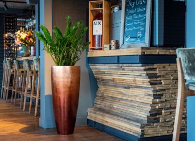 vaso niewkoop con pianta verde in bar