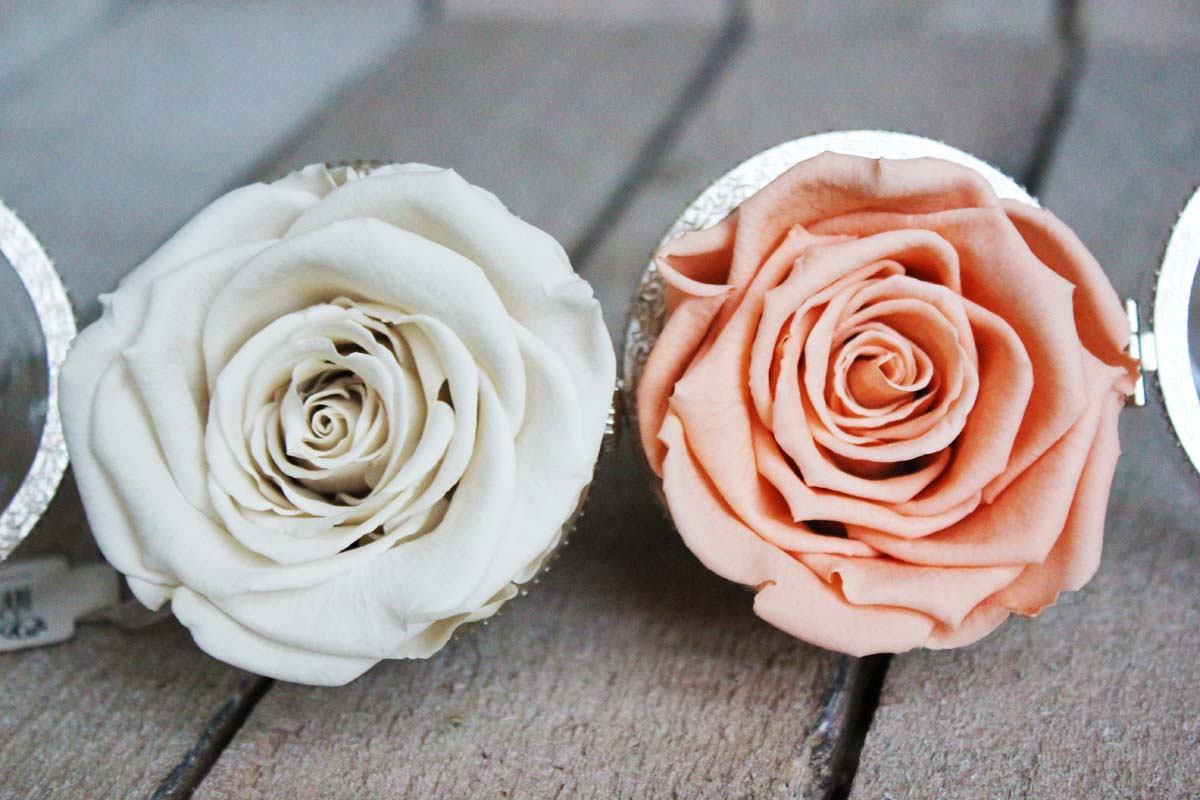 rose naturali stabilizzate rosa e bianca