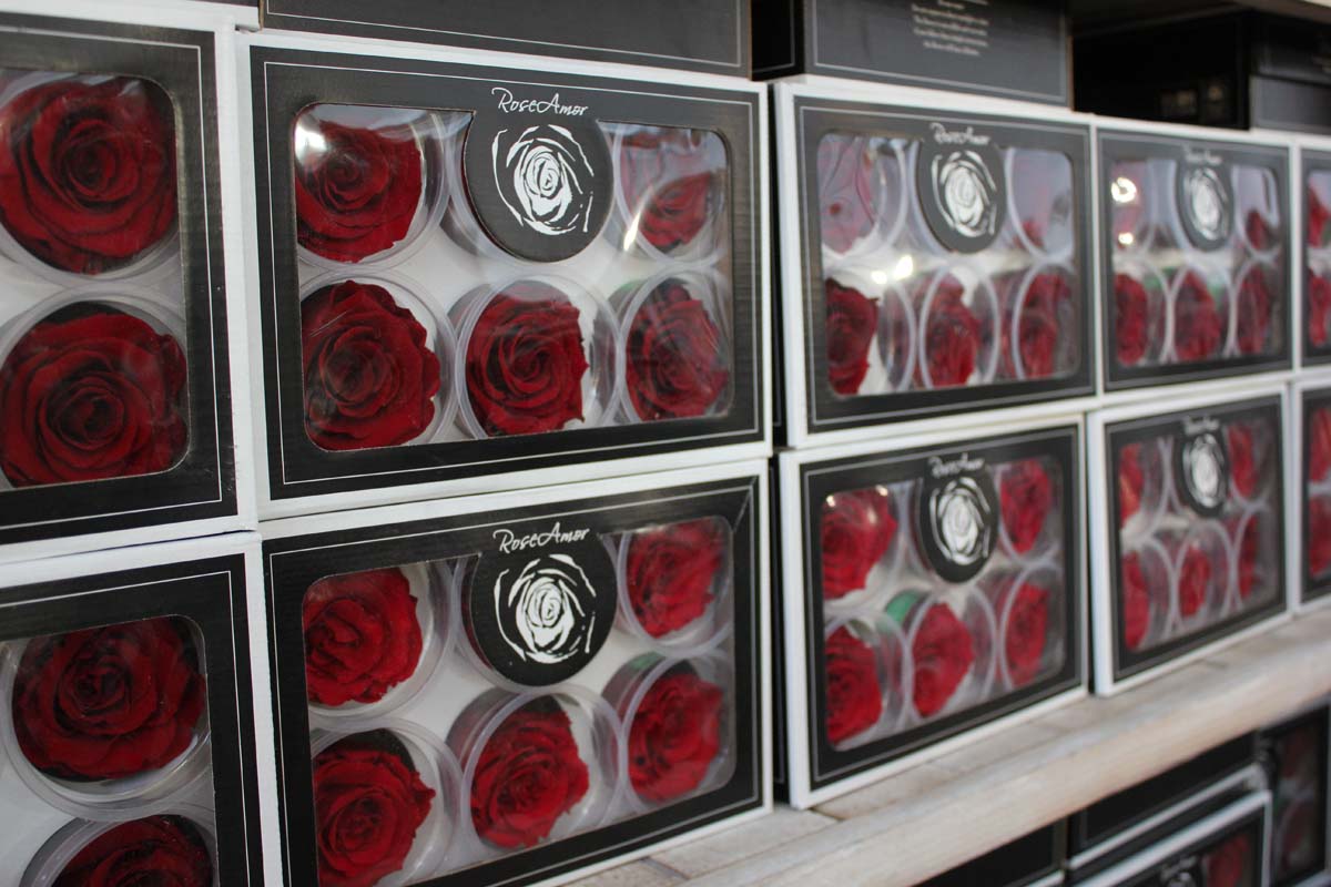 rose naturali stabilizzate rosse in scatola