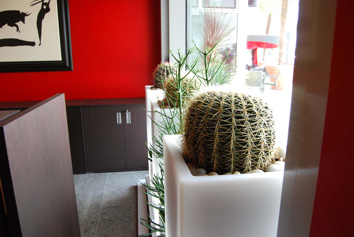 arredo verde uffici