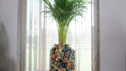 vaso di design