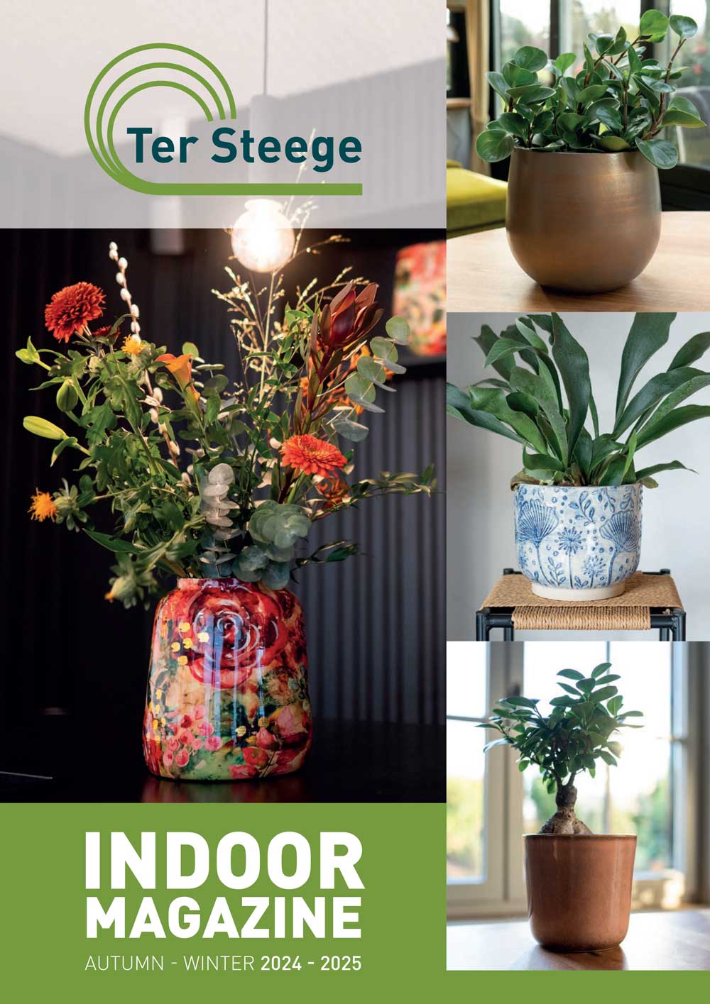 Copertina TerSteege Catalogo Vasi