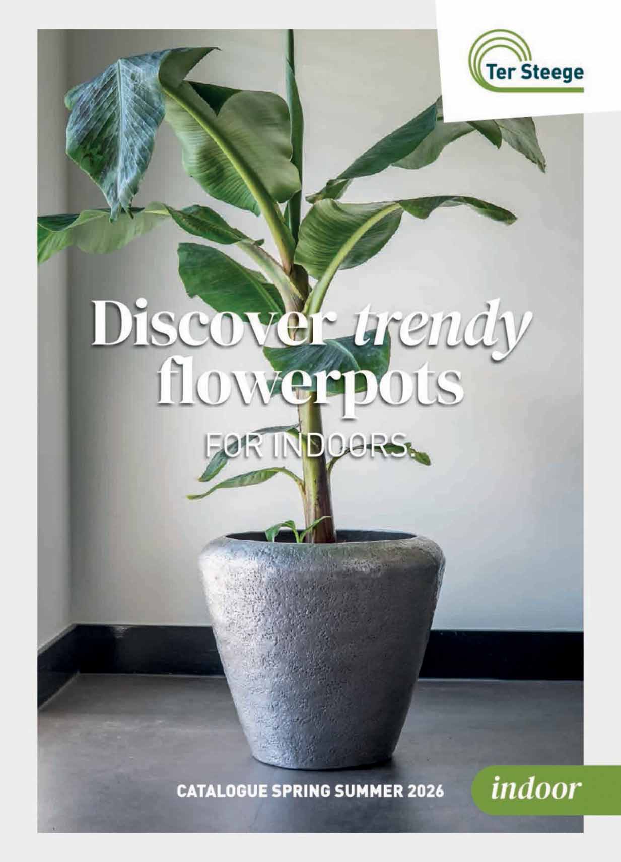 Copertina TerSteege Catalogo Vasi